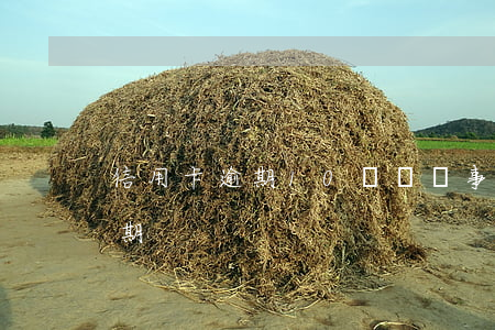 信用卡逾期10塊錢礙事嗎(信用卡10元逾期)