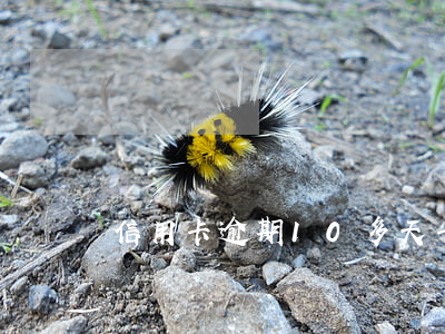 信用卡逾期10多天卡被凍結(jié)