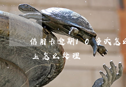 信用卡逾期10多次怎么办(征信逾期十次以上怎么处理)