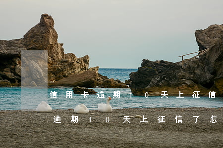 信用卡逾期10天上征信了怎么辦-信用卡逾期10天上征信了怎么辦呢
