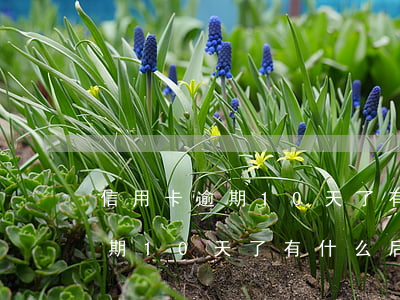 信用卡逾期10天了有什么后果-信用卡逾期10天了有什么后果嗎