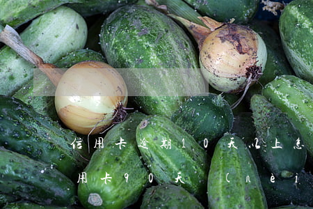 信用卡逾期10天以上怎么補(bǔ)救 信用卡90天內(nèi)逾期