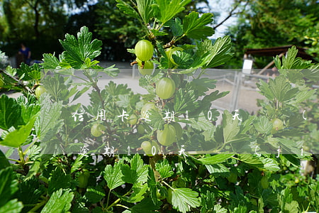 信用卡逾期10天凍結(jié)了(信用卡逾期10天凍結(jié)了怎么辦)