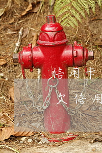 信用卡逾期10天可以坐飛機(jī)嗎-欠信用卡逾期可以坐飛機(jī)嗎