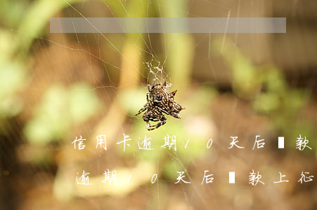 信用卡逾期10天后還款上征信嗎-信用卡逾期10天后還款上征信嗎有影響嗎