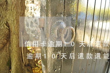 信用卡逾期10天后還款還能用嗎-信用卡逾期10天后還款還能用嗎