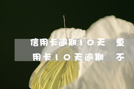 信用卡逾期10天嚴重嗎興業(yè)-信用卡10天逾期會不會影響征信