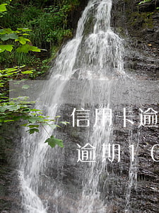 信用卡逾期10天多久能恢復征信-信用卡逾期10天多久能恢復征信記錄