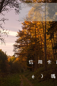 信用卡逾期10天會(huì)凍結(jié)嗎(逾期多久會(huì)凍結(jié)信用卡)