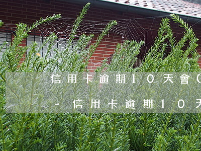 信用卡逾期10天會(huì)影響征信嗎?-信用卡逾期10天會(huì)影響征信嗎怎么辦