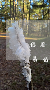信用卡逾期10天會(huì)造成什么后果 信用卡10幾天逾期