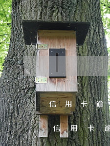 信用卡逾期10天會上征信嗎可以申訴么-信用卡逾期10天會上征信嗎可以申訴么