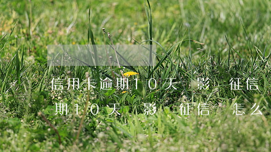 信用卡逾期10天會影響征信嗎?-信用卡逾期10天會影響征信嗎怎么辦