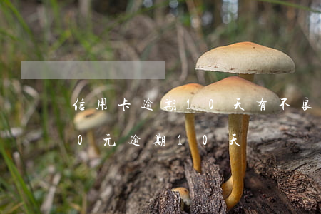 信用卡逾期10天有不良記錄嗎(信用卡100元逾期10天)