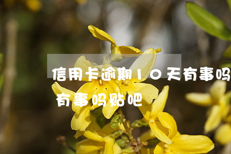 信用卡逾期10天有事吗(信用卡逾期10天有事吗贴吧)