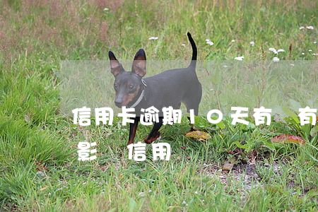 信用卡逾期10天有沒有影響(逾期10天會影響信用嗎)