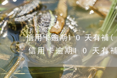 信用卡逾期10天有補(bǔ)救措施嗎-信用卡逾期10天有補(bǔ)救措施嗎怎么辦