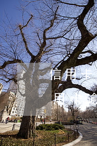 信用卡逾期10天能貸車(chē)貸嗎(信用卡逾期10天能貸車(chē)貸嗎)