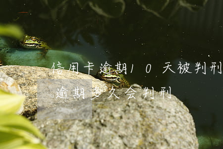 信用卡逾期10天被判刑 信用卡20000逾期多久会判刑