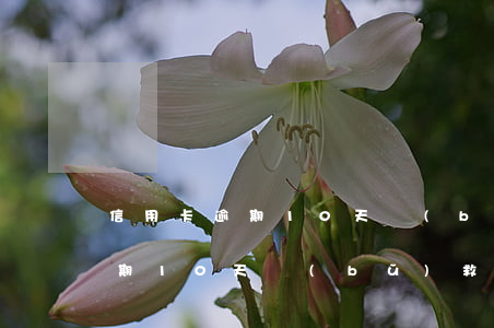 信用卡逾期10天補(bǔ)救-信用卡逾期10天補(bǔ)救方法