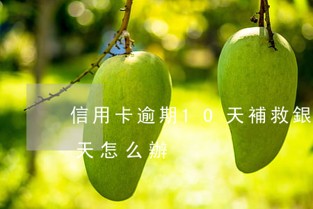 信用卡逾期10天補救(銀行信用卡逾期10天怎么辦)