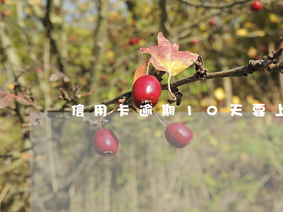 信用卡逾期10天要上門