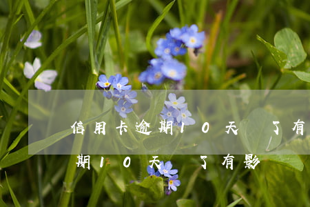 信用卡逾期10天還了有影響嗎-信用卡逾期10天還了有影響嗎知乎