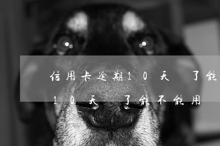 信用卡逾期10天還了能不能用(信用卡逾期10天還了能不能用)