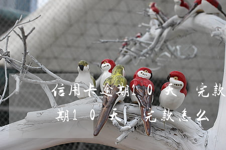 信用卡逾期10天還完款怎么辦-信用卡逾期10天還完款怎么辦理