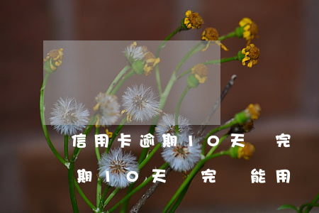 信用卡逾期10天還完還能用嗎-信用卡逾期10天還完還能用嗎