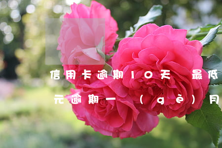 信用卡逾期10天還最低可以嗎(信用卡10元逾期一個(gè)月)