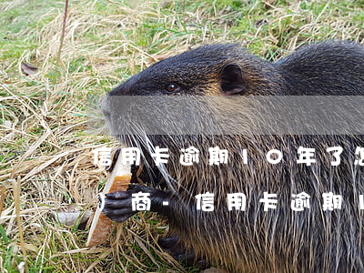 信用卡逾期10年了怎么和銀行協(xié)商-信用卡逾期10年了怎么和銀行協(xié)商