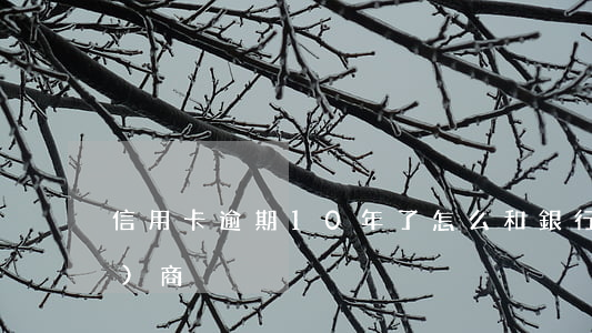 信用卡逾期10年了怎么和銀行協(xié)商