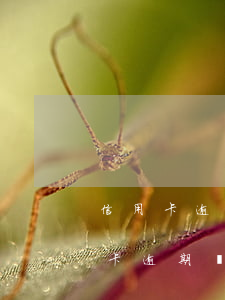 信用卡逾期10年了會怎樣(10多年前信用卡逾期過)