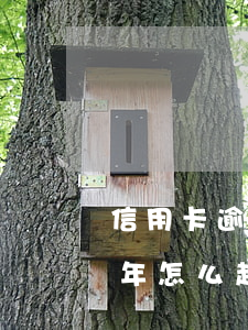 信用卡逾期10年怎么起訴(信用卡逾期10年怎么起訴)