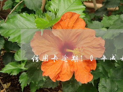 信用卡逾期10年成呆賬怎么解決