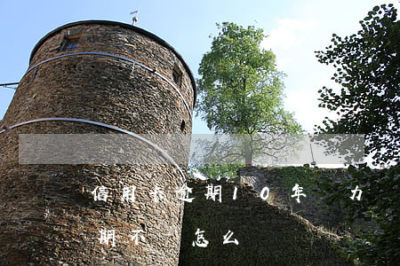 信用卡逾期10年無力償還(10年信用卡逾期不還怎么辦)