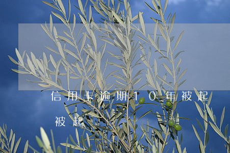 信用卡逾期10年被起訴(信用卡逾期幾年會被起訴)