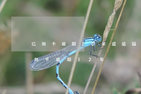 信用卡逾期10年還能協(xié)商嗎(信用卡逾期12年)