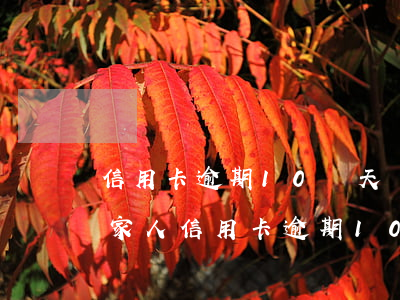 信用卡逾期10幾天說(shuō)要通知家人 信用卡逾期10幾天說(shuō)要通知家人怎么辦