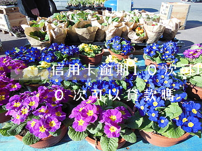 信用卡逾期10次可以貸款嗎（信用卡逾期10次可以貸款嗎）