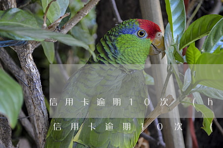 信用卡逾期10次會(huì)有黑名單嗎（信用卡逾期10次會(huì)有黑名單嗎）