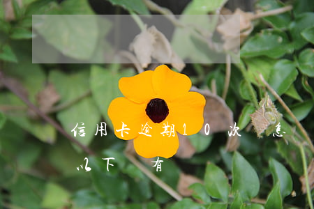 信用卡逾期10次會怎樣(信用卡逾期10塊以下會有記錄嗎)