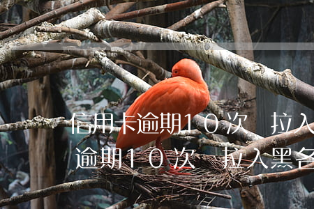 信用卡逾期10次會拉入黑名單么-信用卡逾期10次會拉入黑名單么嗎