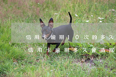 信用卡逾期10次的多久能去除(2017年信用卡逾期多久會清除)