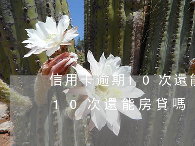 信用卡逾期10次還能房貸嗎-信用卡逾期10次還能房貸嗎