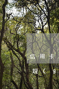 信用卡逾期10沒事吧(10月信用卡逾期新規(guī))