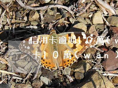 信用卡逾期10萬(wàn)怎么上岸(信用卡10萬(wàn)逾期4年)