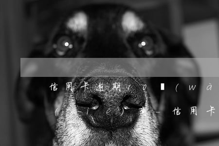信用卡逾期10萬(wàn)銀行打電話協(xié)商-信用卡逾期10萬(wàn)銀行打電話協(xié)商還款
