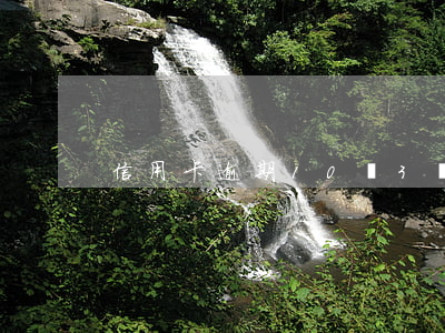 信用卡逾期10萬3個月(信用卡逾期十多天)
